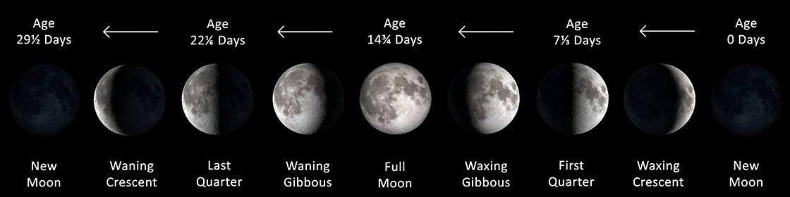 Phases of the Moon